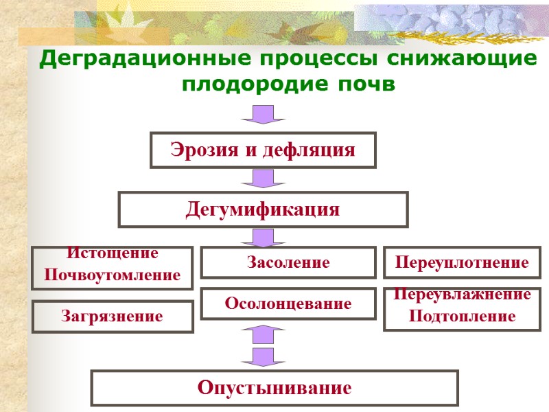 Деградационные процессы снижающие плодородие почв Дегумификация Эрозия и дефляция Опустынивание Переуплотнение Истощение  Почвоутомление